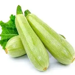 Zucchini Dolma