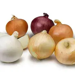 Mix Onion