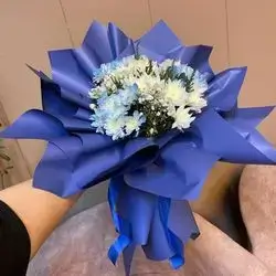 Blue And White Daudi