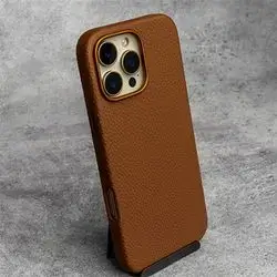 16 Pro Max Cover