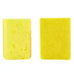 Sponge