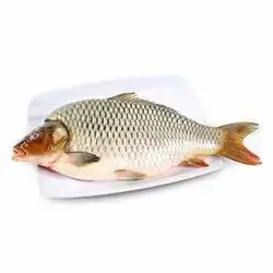 Fresh Carp 1-1.5 Kg