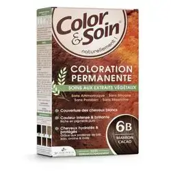 Color & Soin Marron Cacao 6B