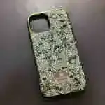 iPhone 12 Pro max  ,  11 pro max