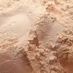 Custard 