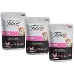 Felicia Kitten Chicken 12x
