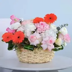 Assorted Imported Flower Basket