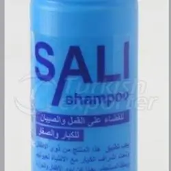 شامبو سالي