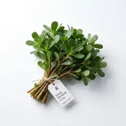 0.5 kg Purslane