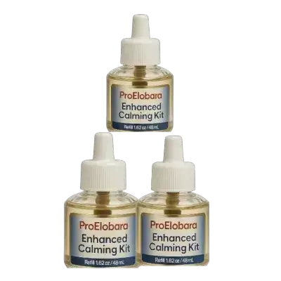 Calming Perfum 144 ML