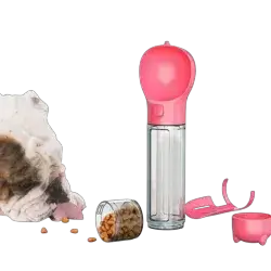 Water Bottle