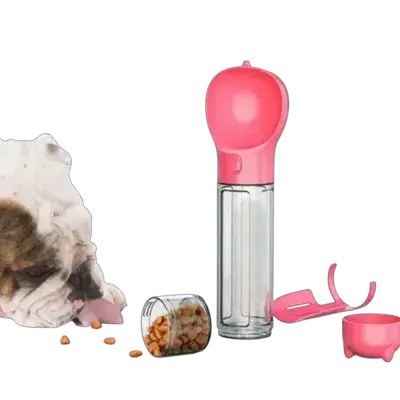 Water Bottle