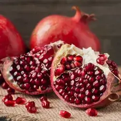 Syrian Pomegranate 