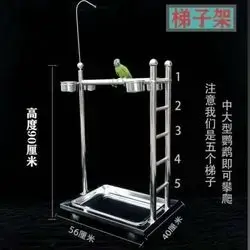 Bird stand