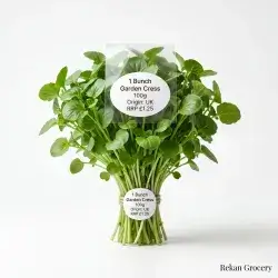1 Bunch Garden Cress