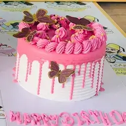 Pink Chocolate Cake