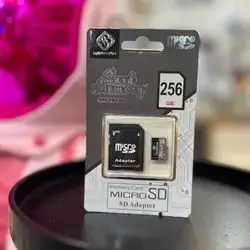 SD Card/ Memory 256GB