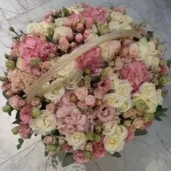 Basket Flower