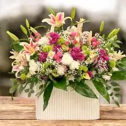 Big Box flowers