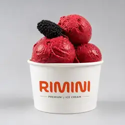 4 Scoops Fresh Berry