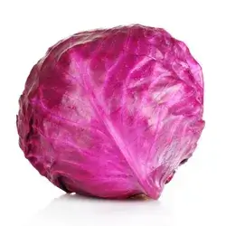 Red Cabbage 