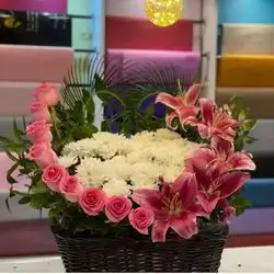 Basket Flower