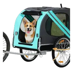 Pet Scroller Green