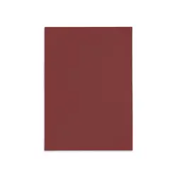 canson paper 70 x100cm - - ciliegia