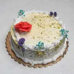 Large Cake