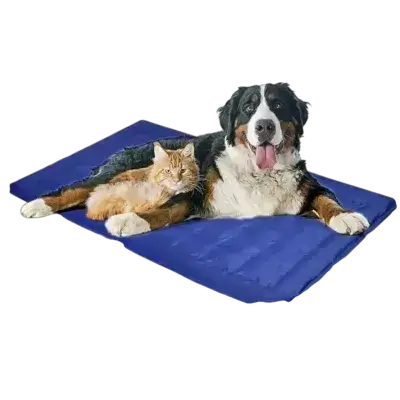Vamcheer Cooling Mat 115x65CM