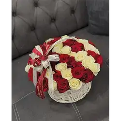 Red&White Box