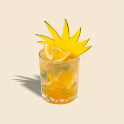 Mango Mojito