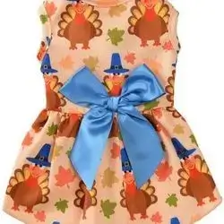 dress M