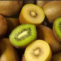 Kiwi