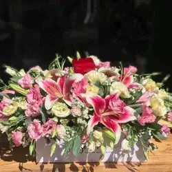 Box Flower's