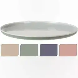 Plate Pp Dıa 250X15Mm 4Ass Clr
