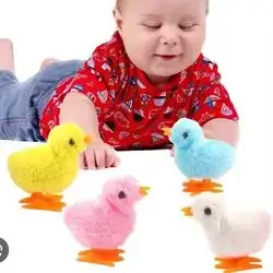 Wind Up Chick Toys