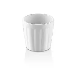 Toothpick Holder (Pc)