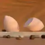 پیچی