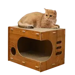Cat House
