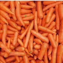 Carrot