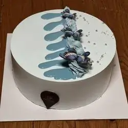 Vanilla Cake Size 2