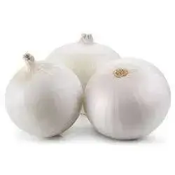 White Onion