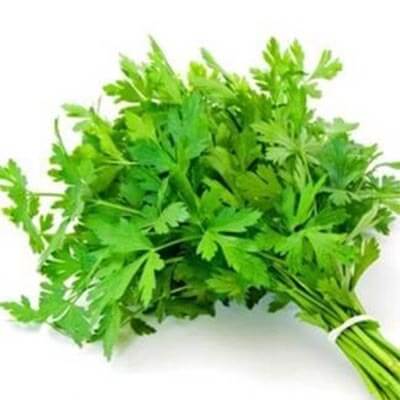 Fresh Parsely Bunch