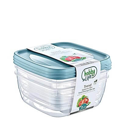 Hobby Life Storage Box 3p 2.5l