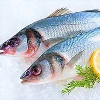 Seabass 1kg