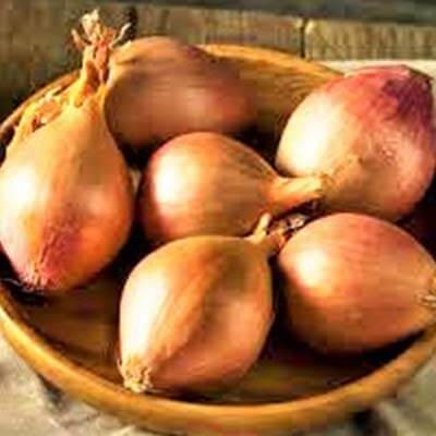 Onion Dolma Brown 500g