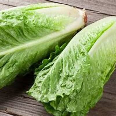 Lettuce 500g