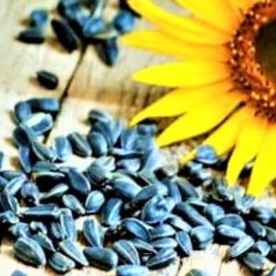 Sunflower Seeds 500g