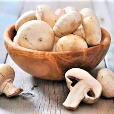 MUSHROOM BARQUET SMALL SIZE PCS